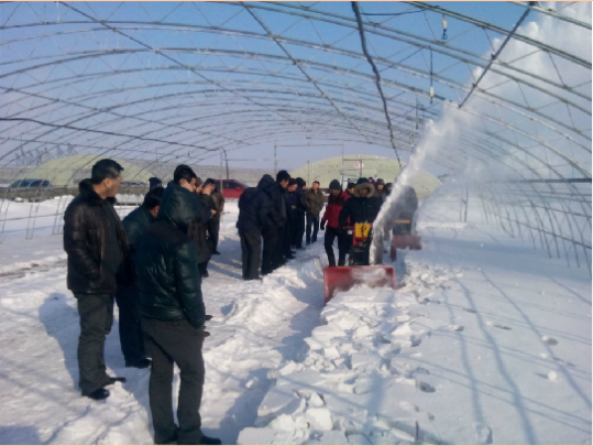 二合一除雪机